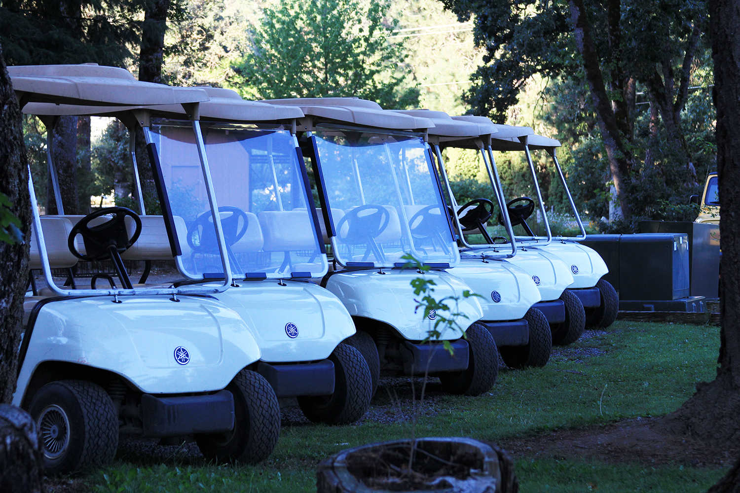 golf cart tour in laurel ms